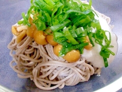 ☆冷やしなめことろろ蕎麦☆